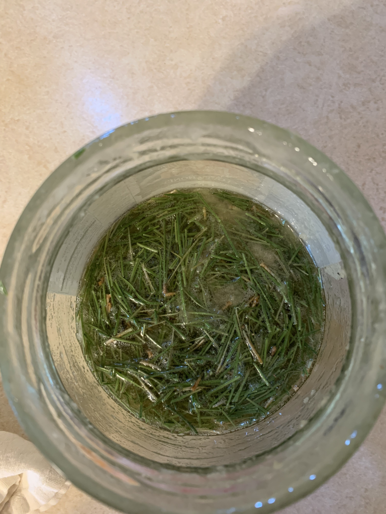 Pine needle honey, immune boosting natural remedies, how to make pine needle honey