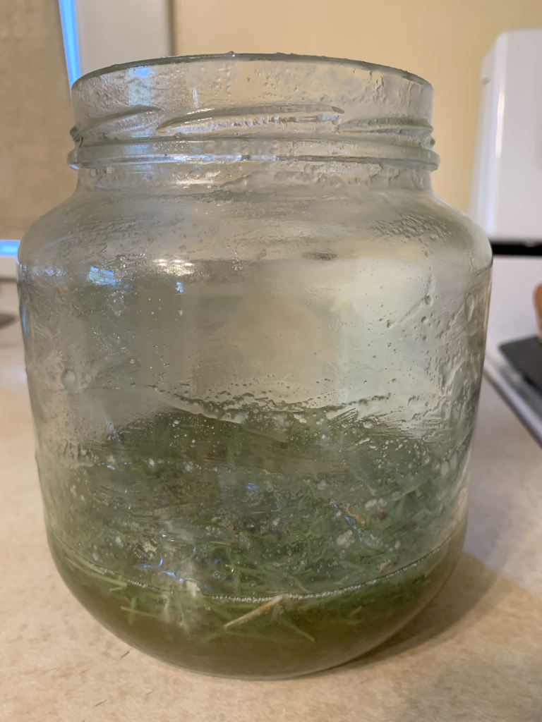 Pine needle honey benefits, health benefits of pine needles, honey infusion