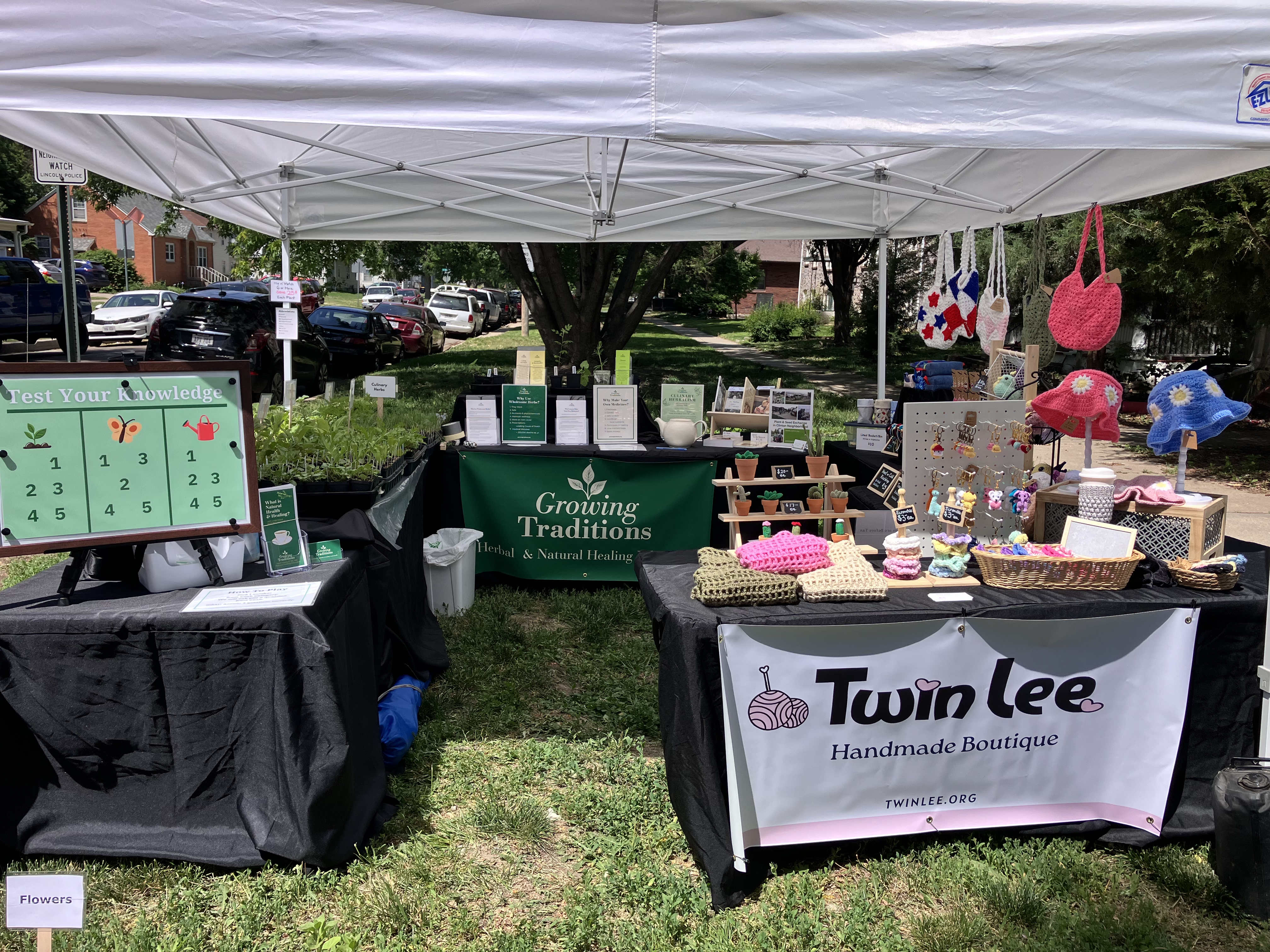 Herbal and vegetable plant starts at Pepé Fest booth by Growing Traditions